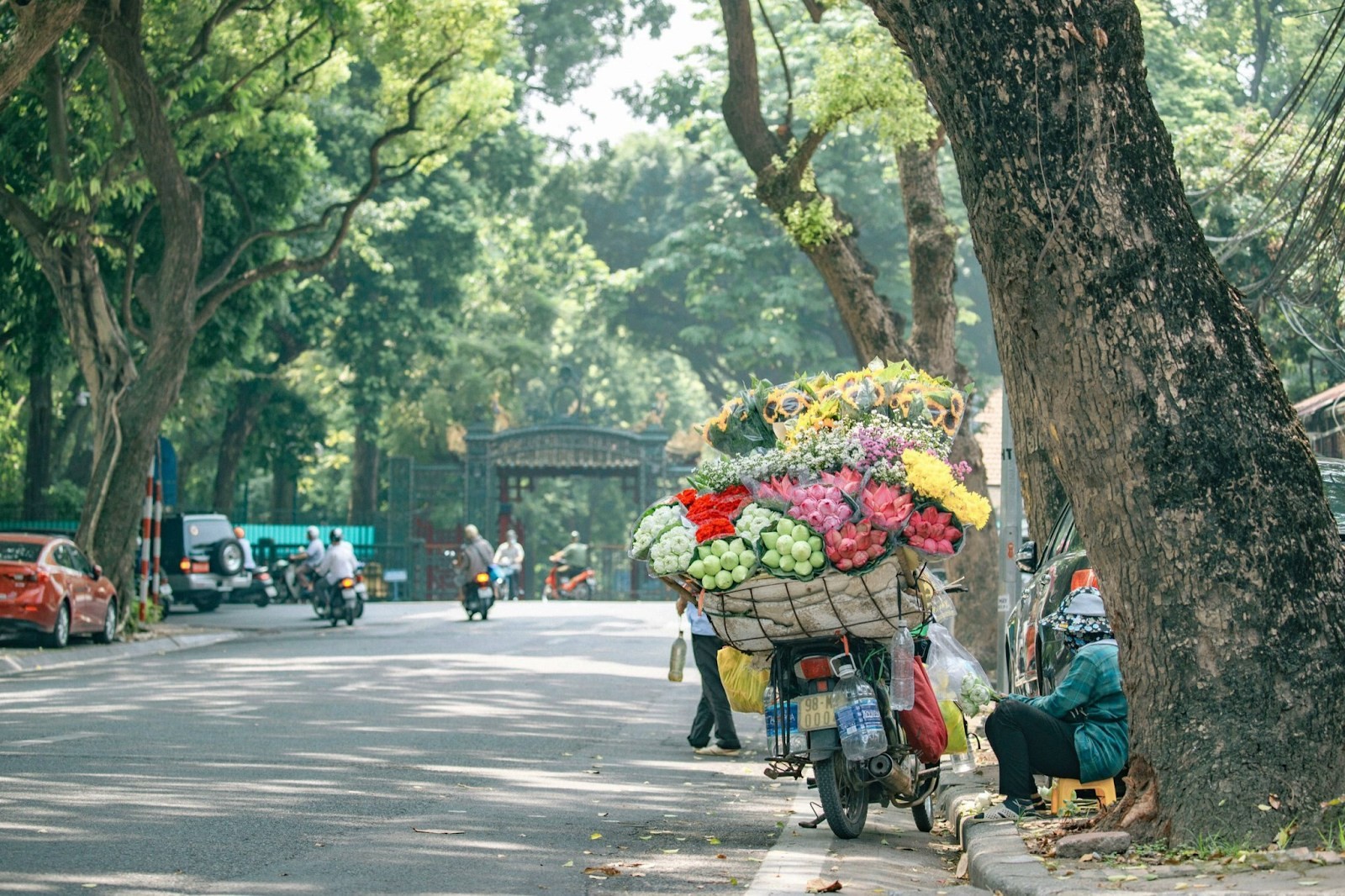 hellovietnam3-1705625806.jpg