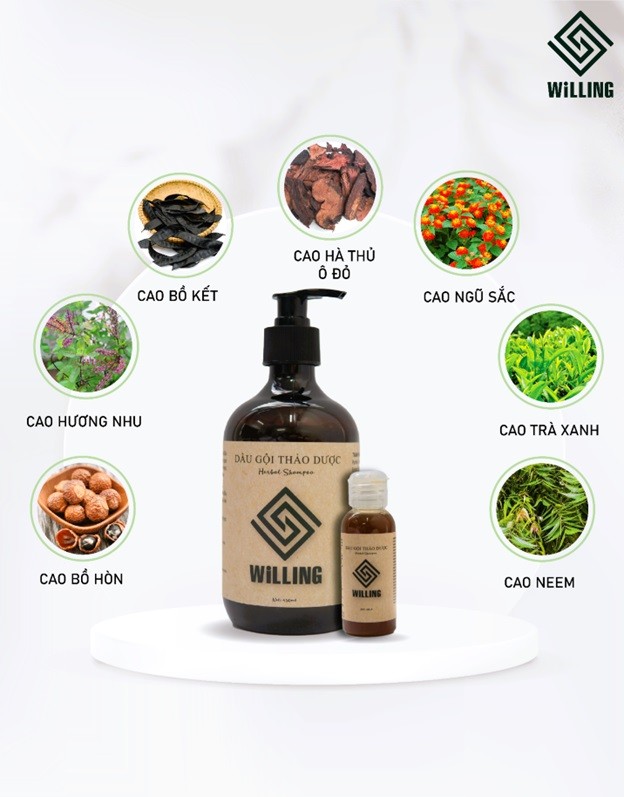 Dầu gội thảo dược Willing : Hành Trình Chăm Sóc Tóc và Bảo Vệ Môi Trường