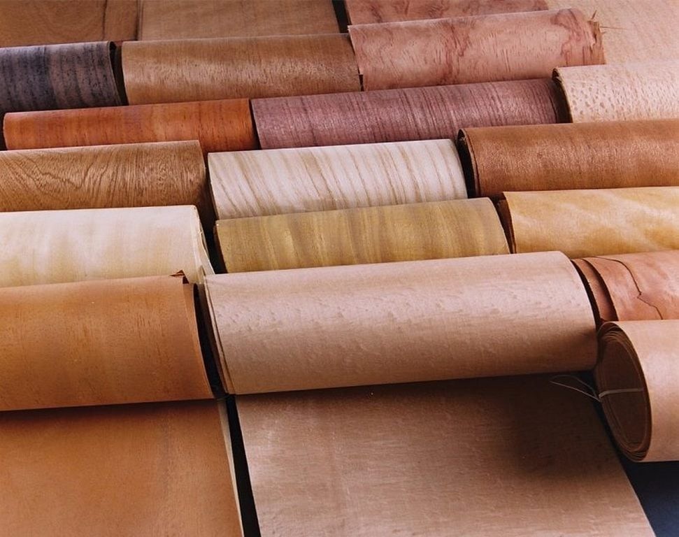 veneer2-1739946368.jpg